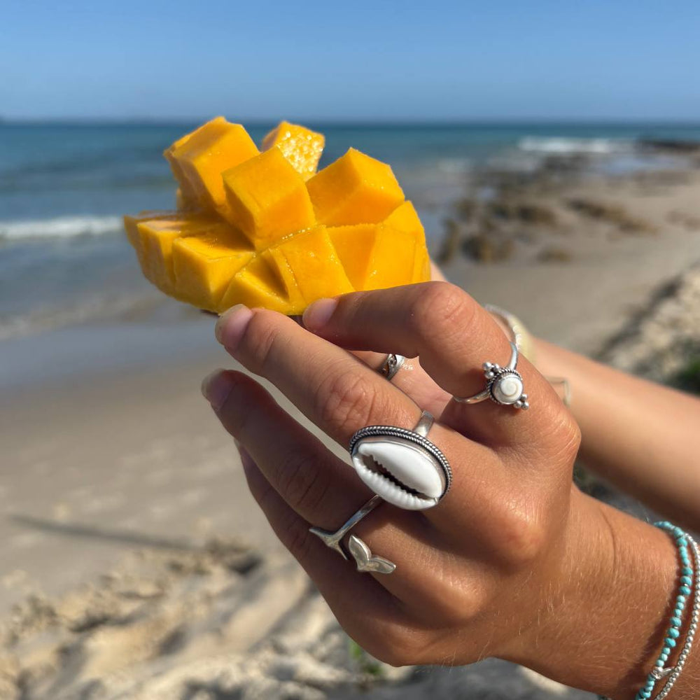 Rings - Cowrie Shell Ring