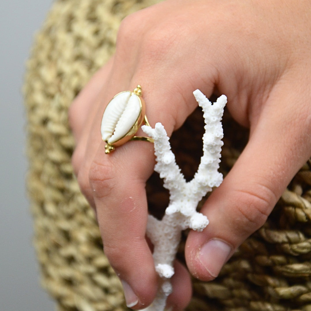 Rings - Gold Cowrie Shell Ring